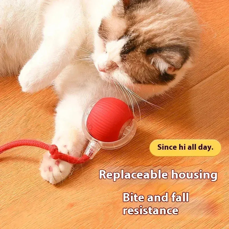 Smart Rolling Cat Toy: Electric, Interactive Ball Keeps Kitty Entertained! USB Rechargeable - Automatic Playtime & Teasing. product image