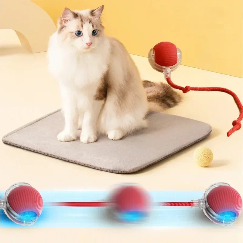 Smart Rolling Cat Toy: Electric, Interactive Ball Keeps Kitty Entertained! USB Rechargeable - Automatic Playtime & Teasing.