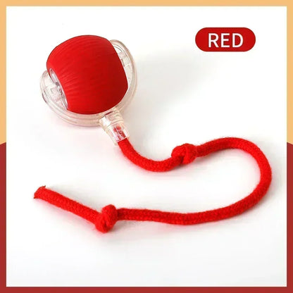 Smart Rolling Cat Toy: Electric, Interactive Ball Keeps Kitty Entertained! USB Rechargeable - Automatic Playtime & Teasing.